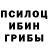 Галлюциногенные грибы Magic Shrooms Gregg Ehrgood