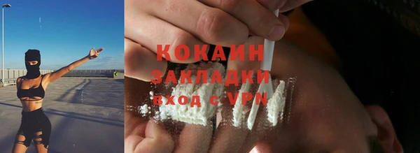 мяу мяу мука Белокуриха