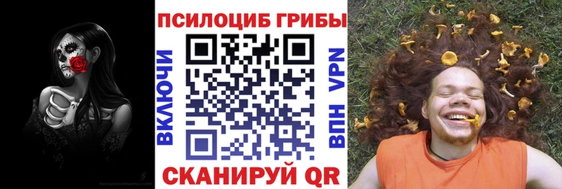 Галлюциногенные грибы мухоморы  Городовиковск 